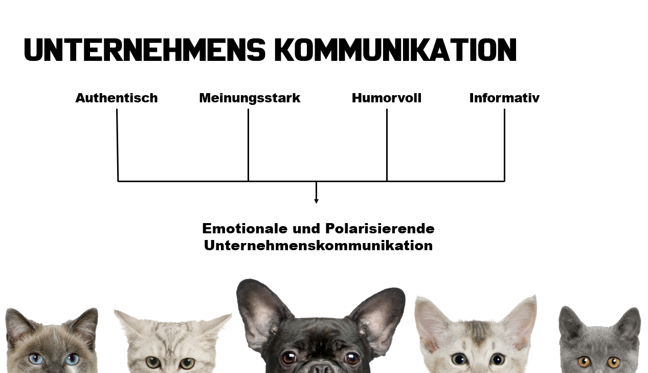 Unternehmenskommunikation von Pet Oasis